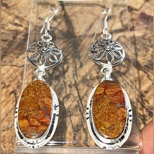 Birds Eye Jasper Earrings 2 1/2”